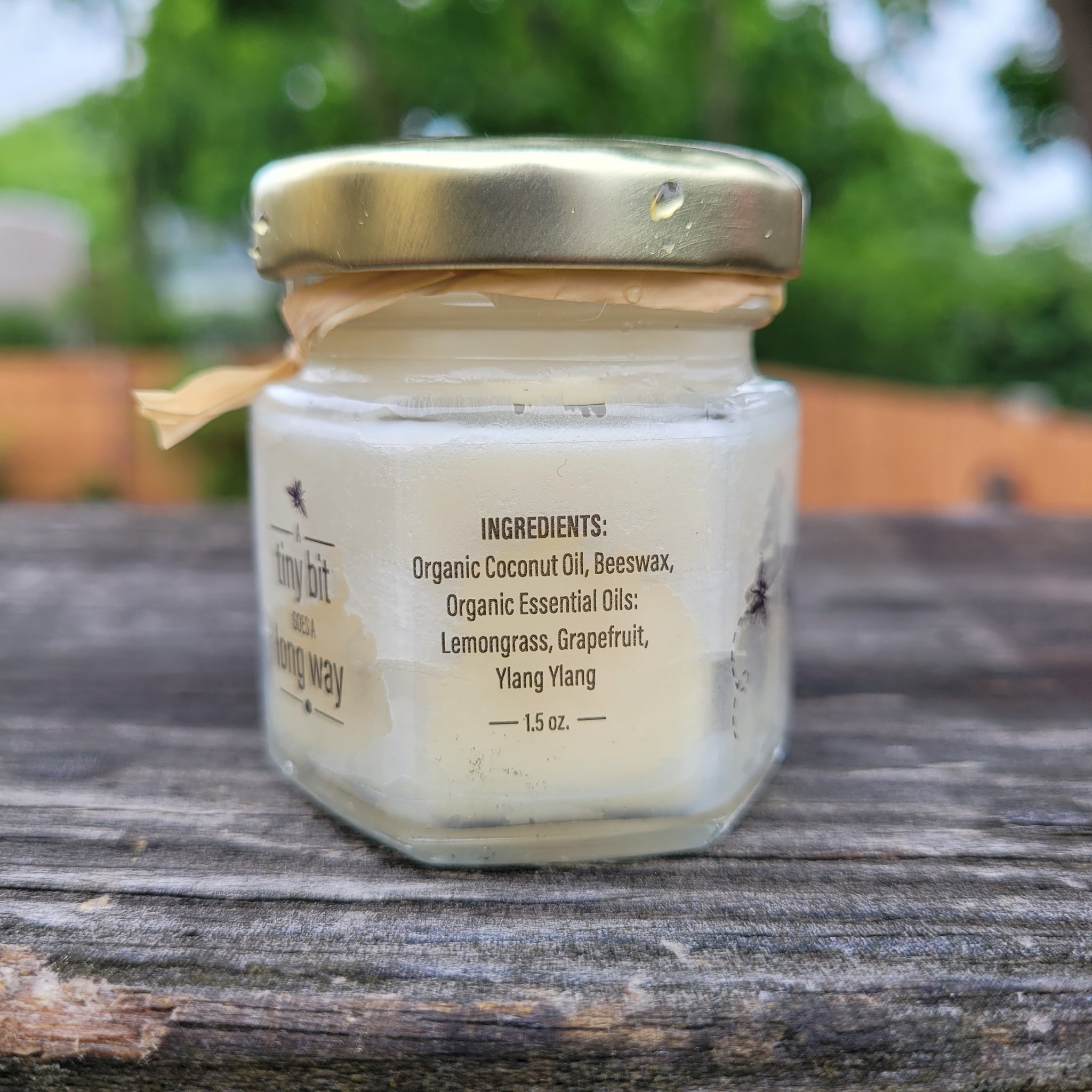 Best Bee Savvy - hands, lips, and feet salve