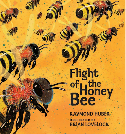 Flight of the Honeybee