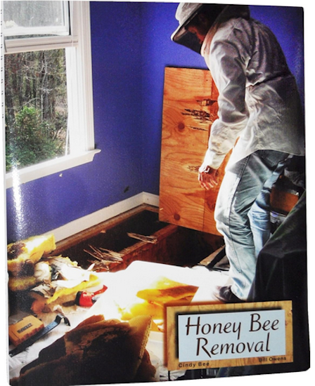 Honeybee Removal