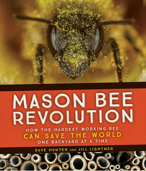 Mason Bee Revolution