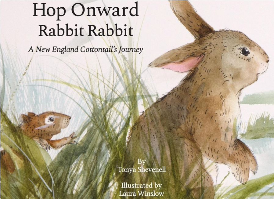 Hop Onward Rabbit Rabbit: A New England Cottontail's Journey