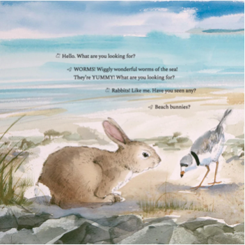 Hop Onward Rabbit Rabbit: A New England Cottontail's Journey