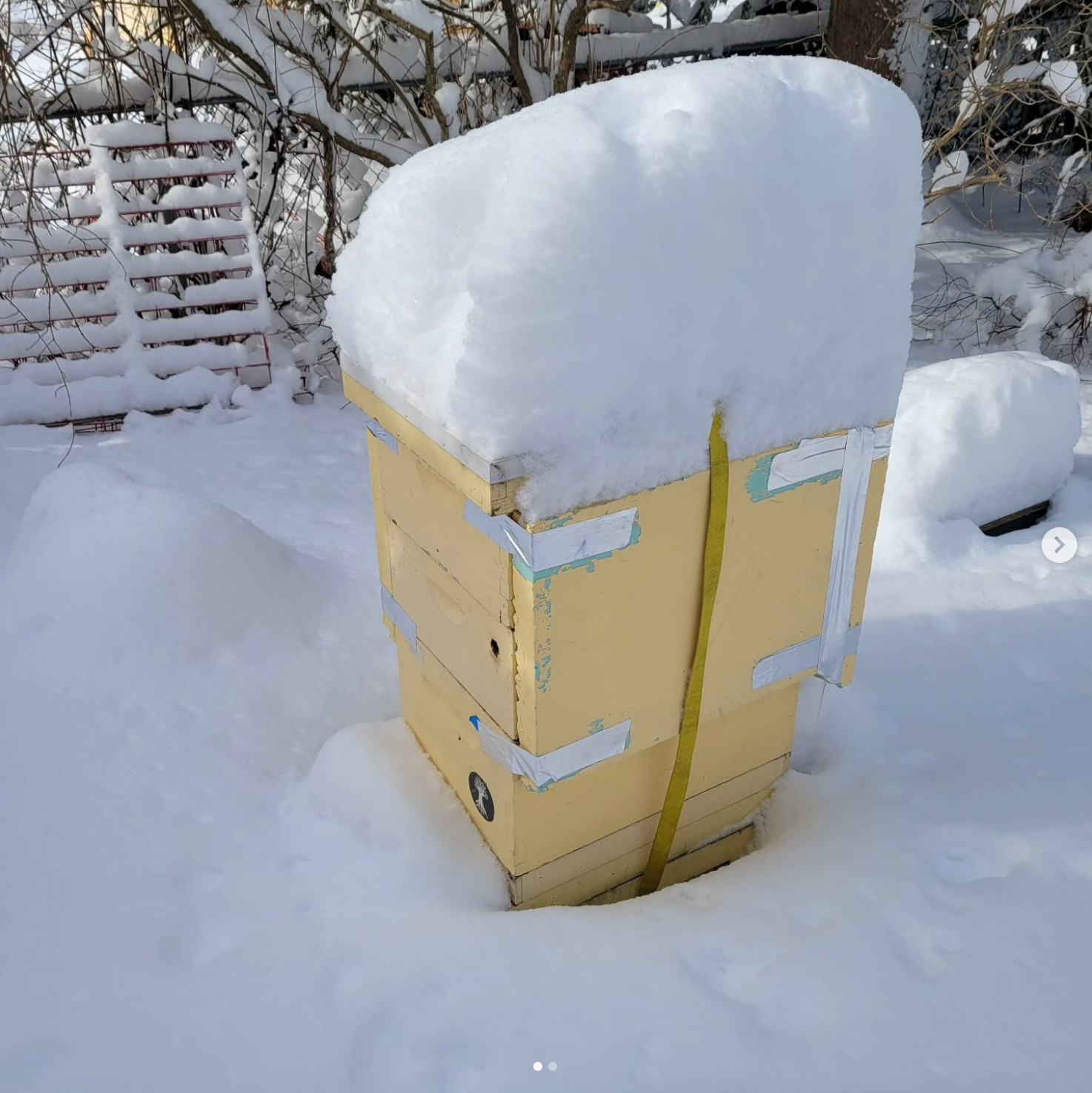 2026 Sophomore/Sustainable Beekeeping Five Week Class