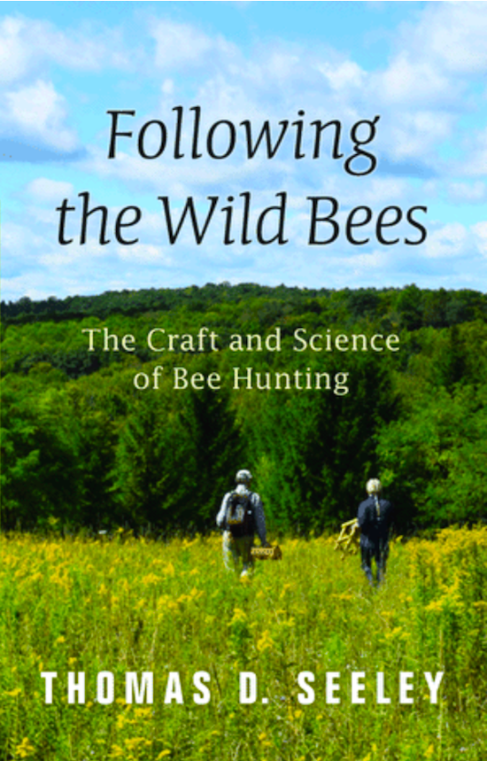 Following the Wild Bees