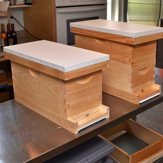 Deluxe Nuc Box Setup