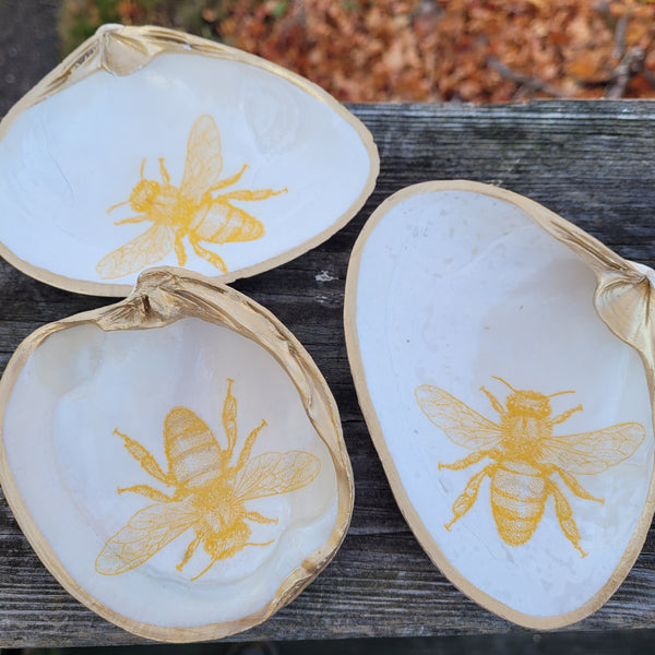 Leigh's Maine Shells - The Honey Exchange