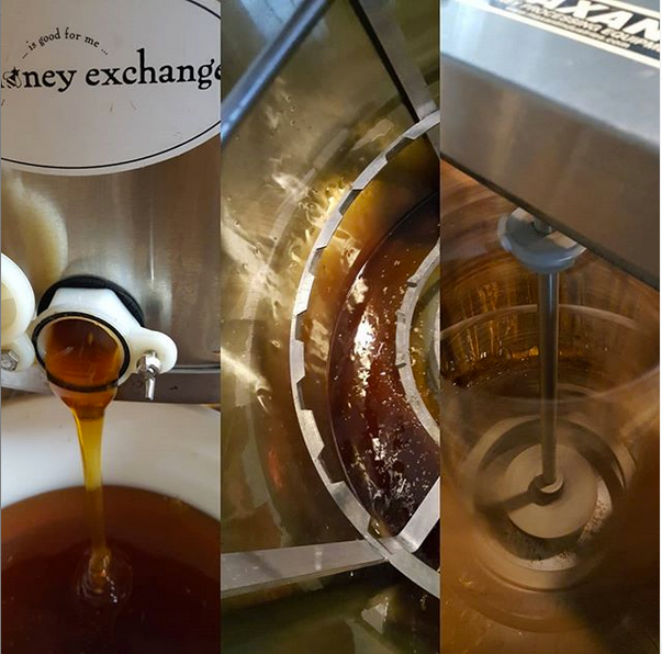 honey extraction, harvesting fall honey in Portland Maine