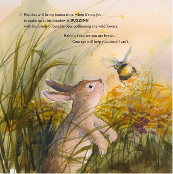 Hop Onward Rabbit Rabbit: A New England Cottontail's Journey