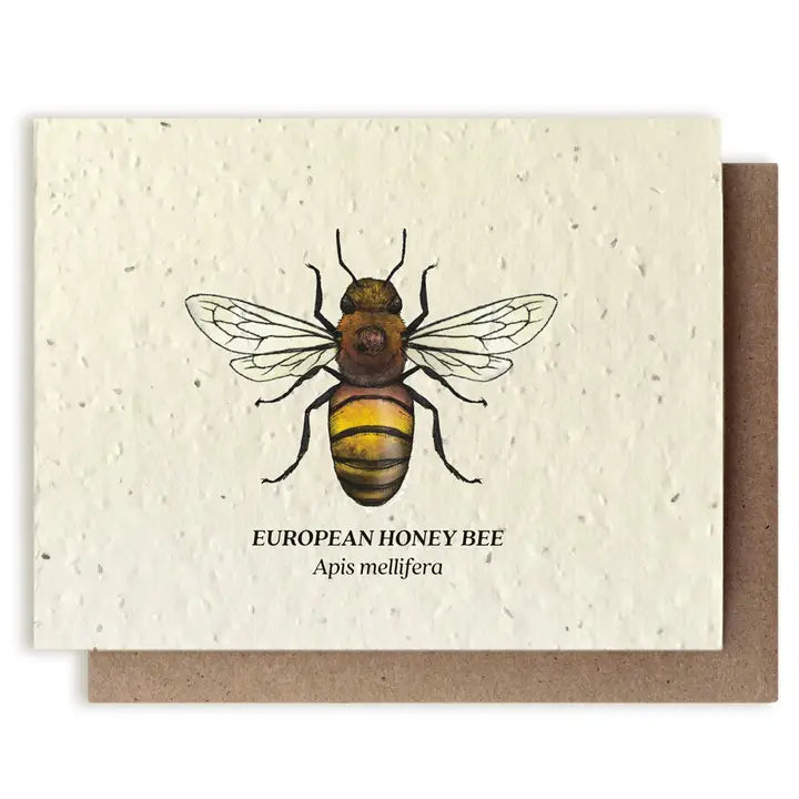 Plantable Wildflower Seed Greeting Cards