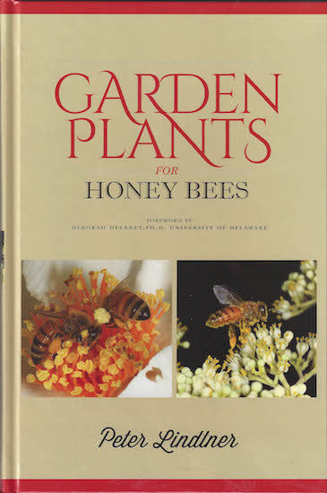 Garden Plants for Honey Bees