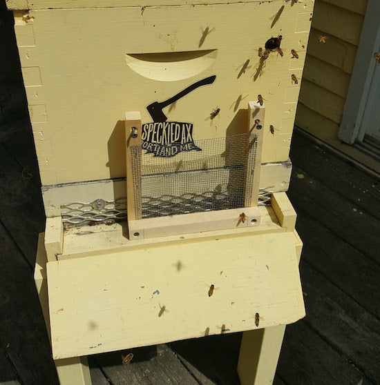 Nucleus Robbing Screen: Boost Beekeeping Efficiency Today