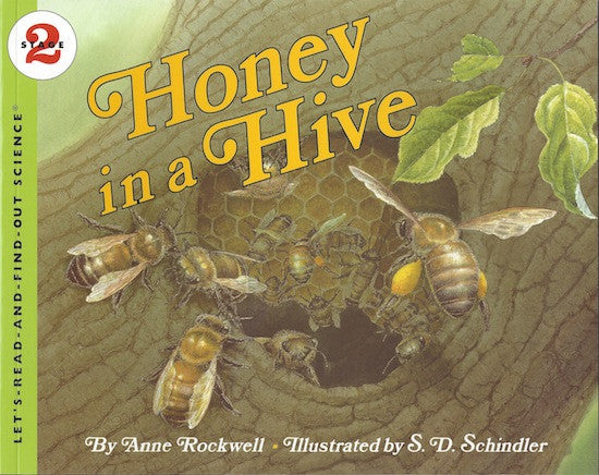 Honey in a Hive